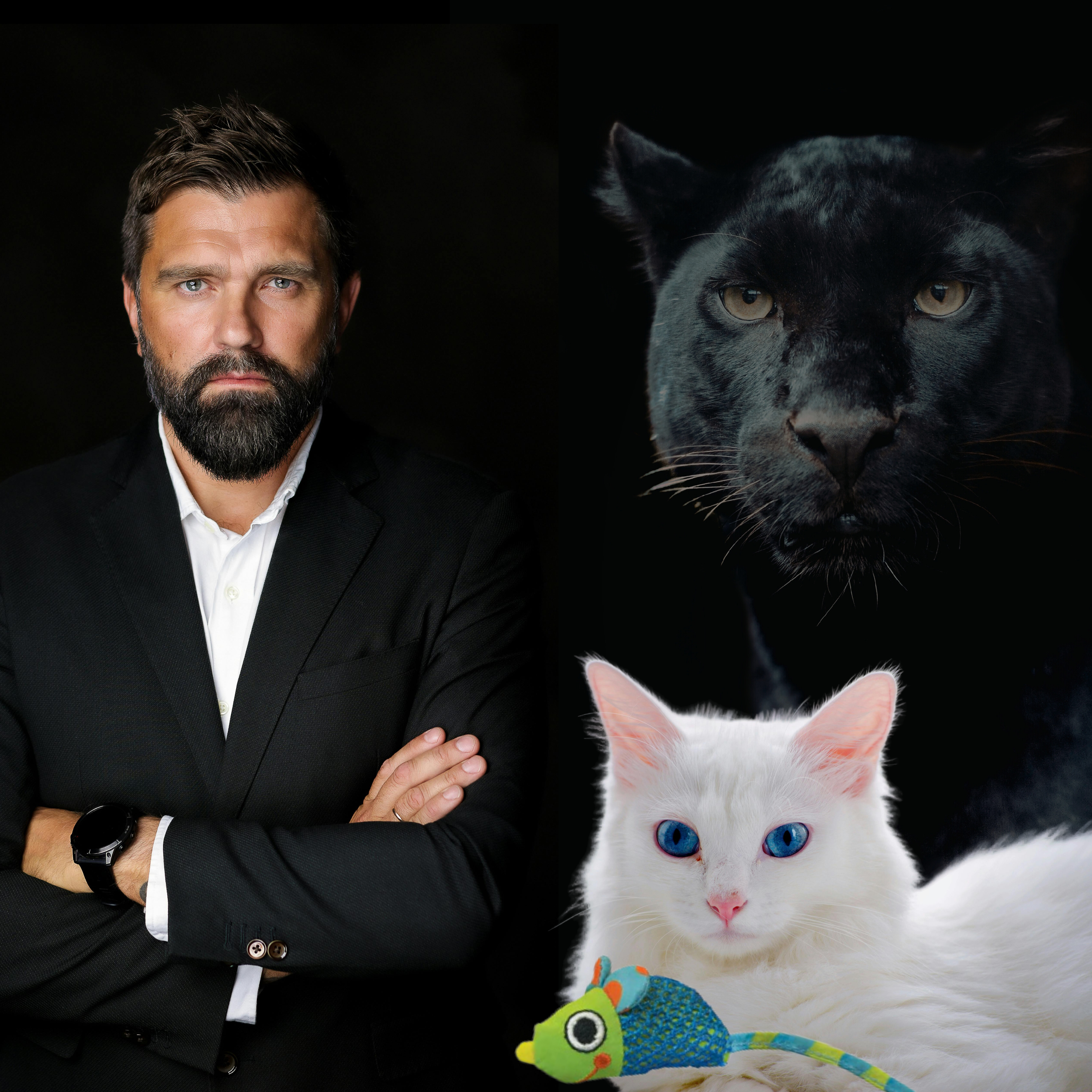 PACK for Cats