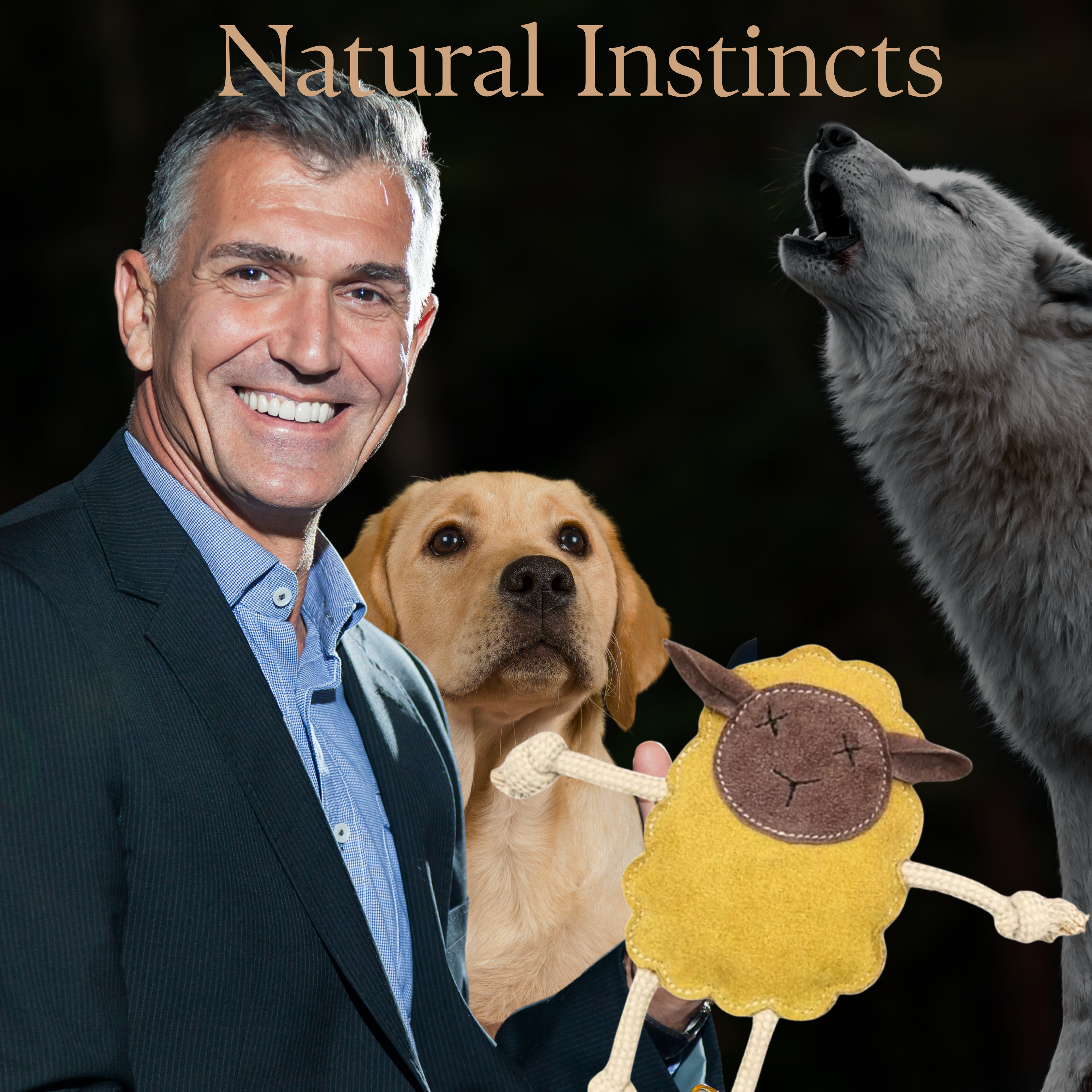 REGULATE for Dogs