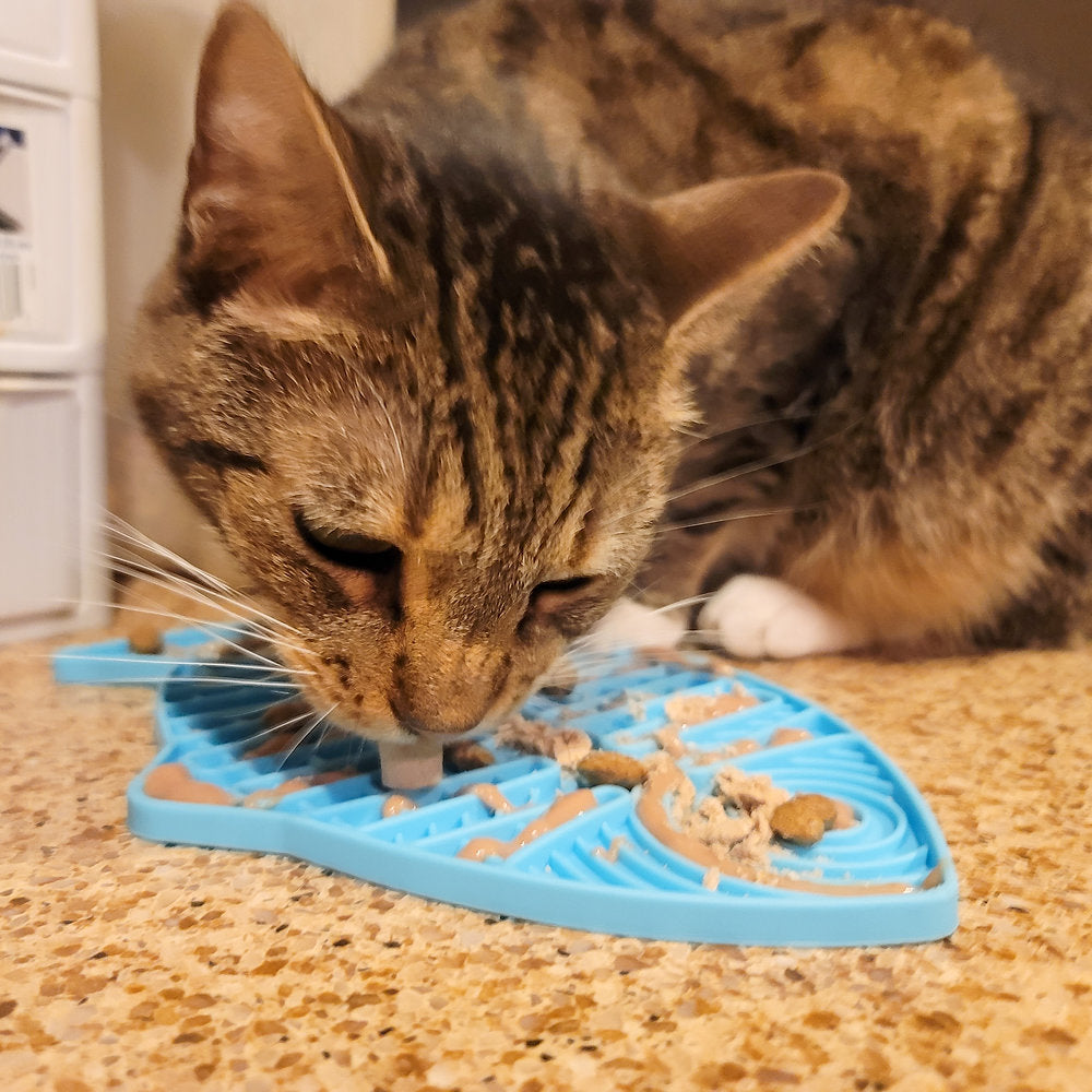 Cats Licki Mats (AU)