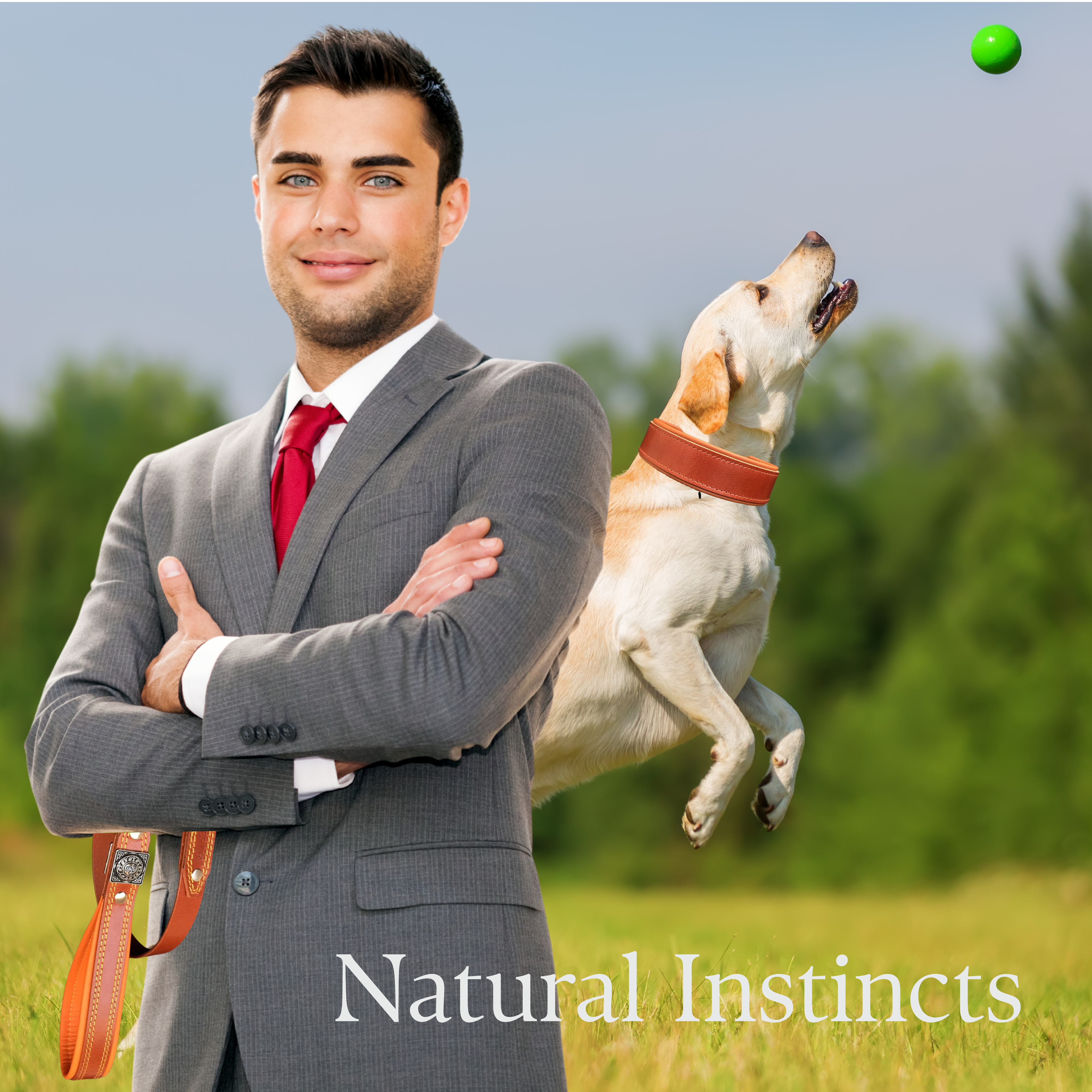 PACK for Dogs