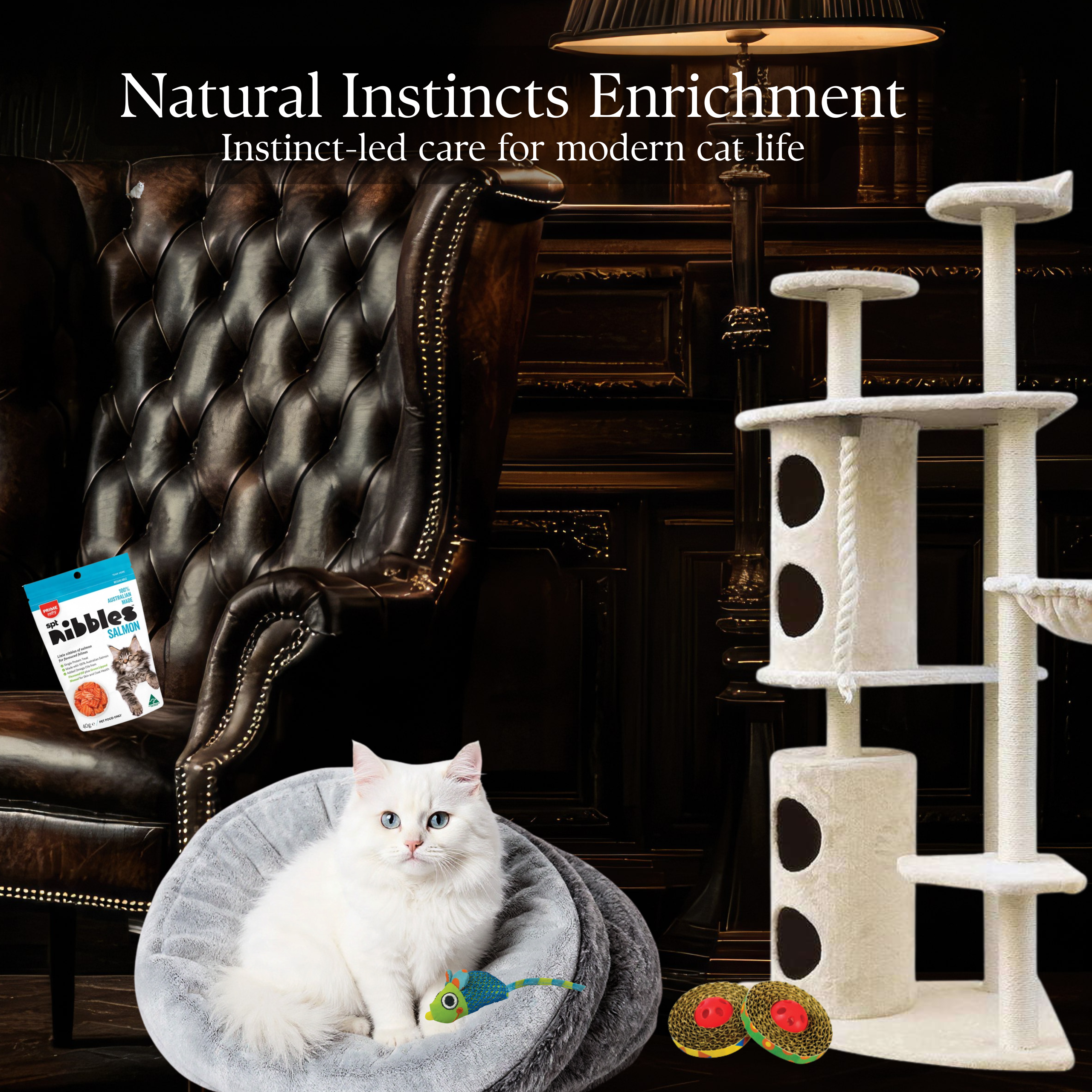 REGULATE for Cats