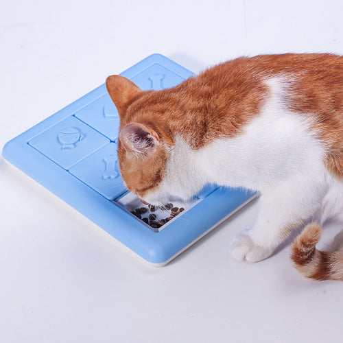 FORAGE for Cats