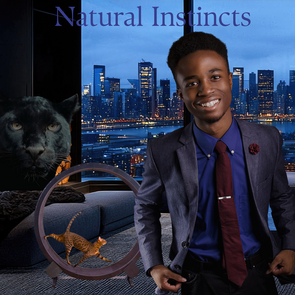 Catfitrun: Running Wheel For Fitness And Fun