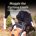 Maggie The Curious Lamb - Digital Companion Pack | Family Licence