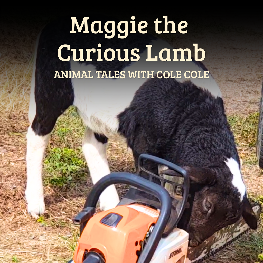 Animal Tales With Cole Cole – Complete Book & Digital Single-Service Collection