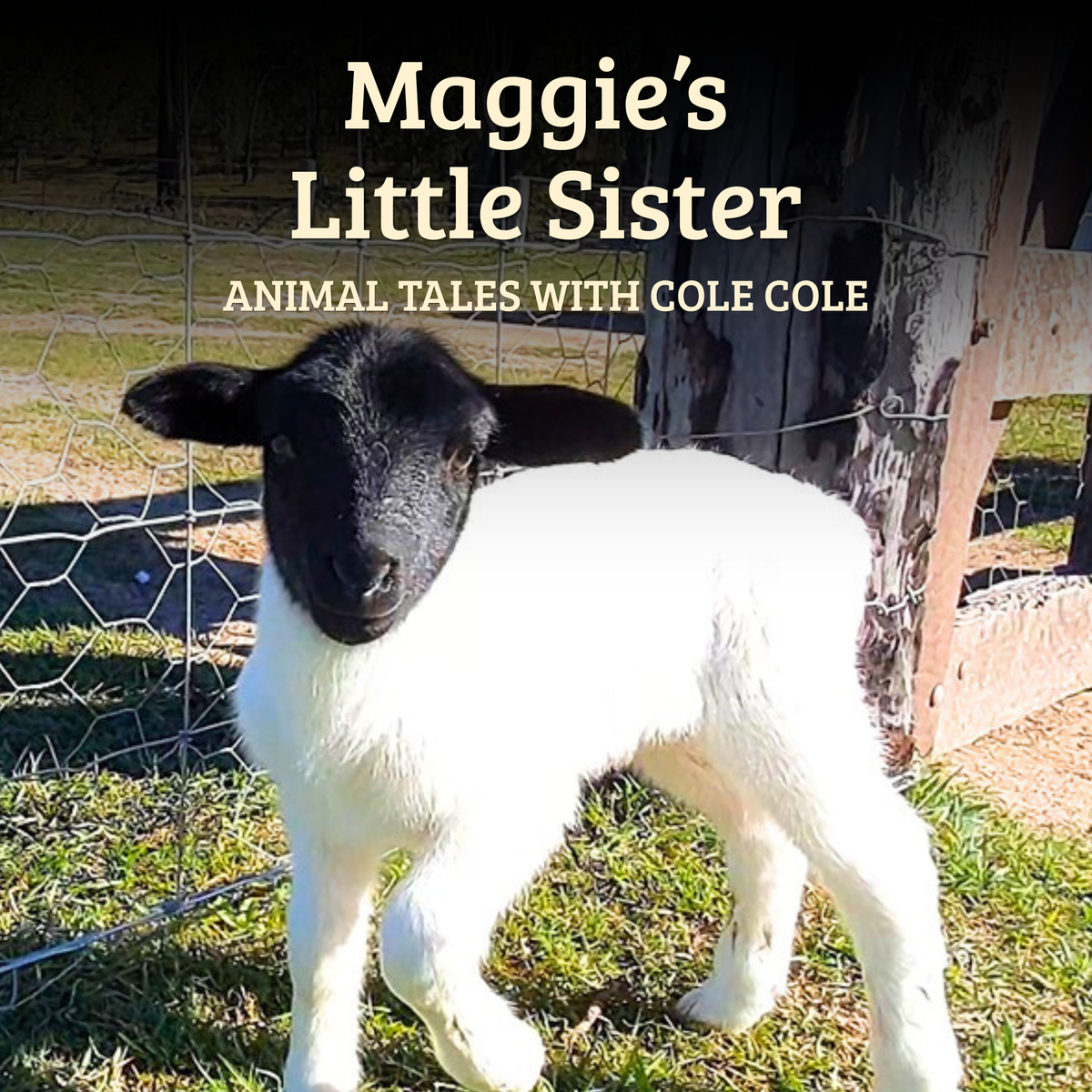 Animal Tales With Cole Cole – Complete Book & Digital Single-Service Collection