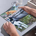 Hide and Seek with Maggie – Paperback & Digital Family Pack