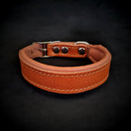 Clean Puppy Collar