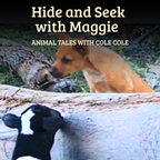 Animal Tales With Cole Cole – Complete Book & Digital Single-Service Collection