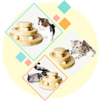 Whimsicat Wooden Interactive Cat Toy
