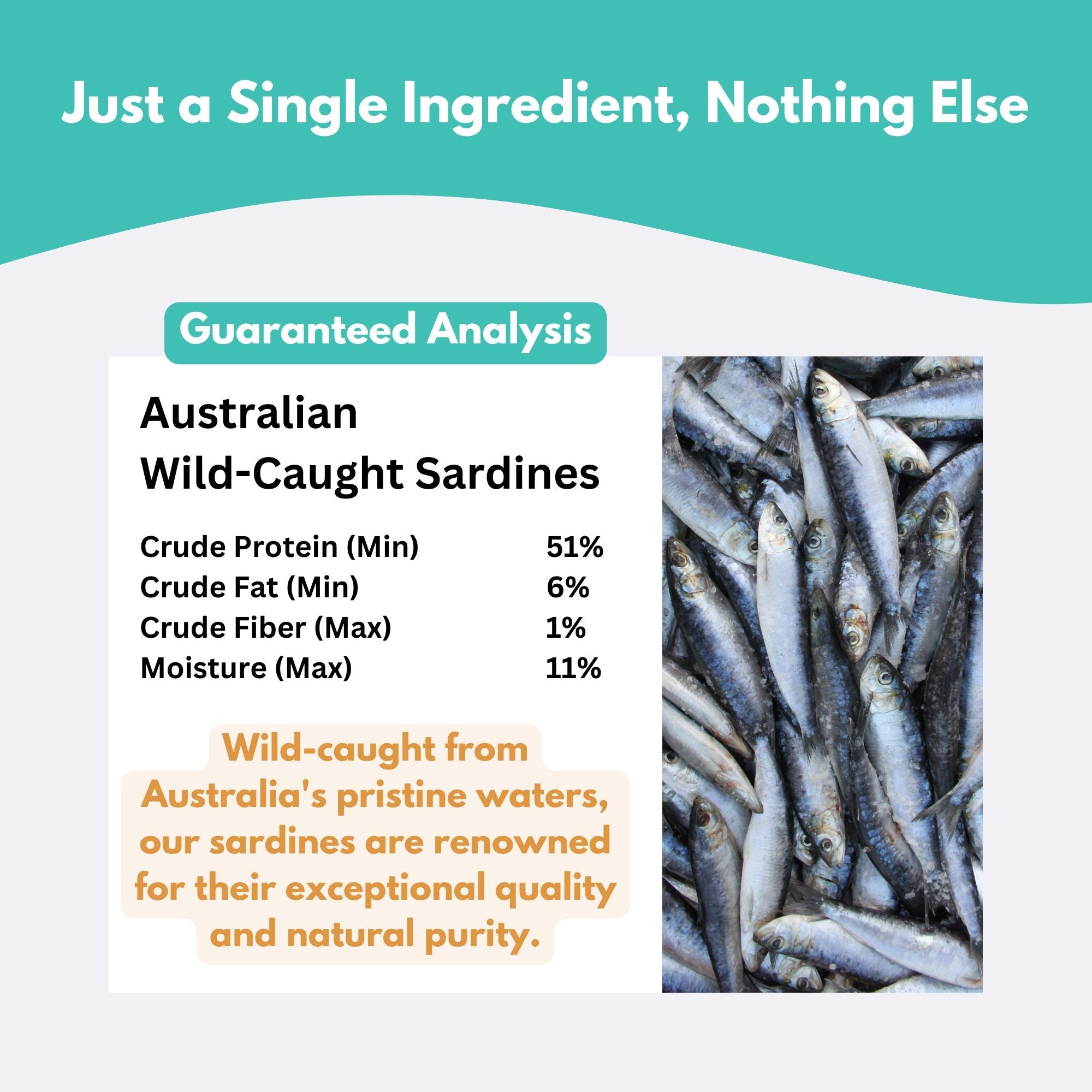 Wild-Caught Australian Sardine Dog Treats