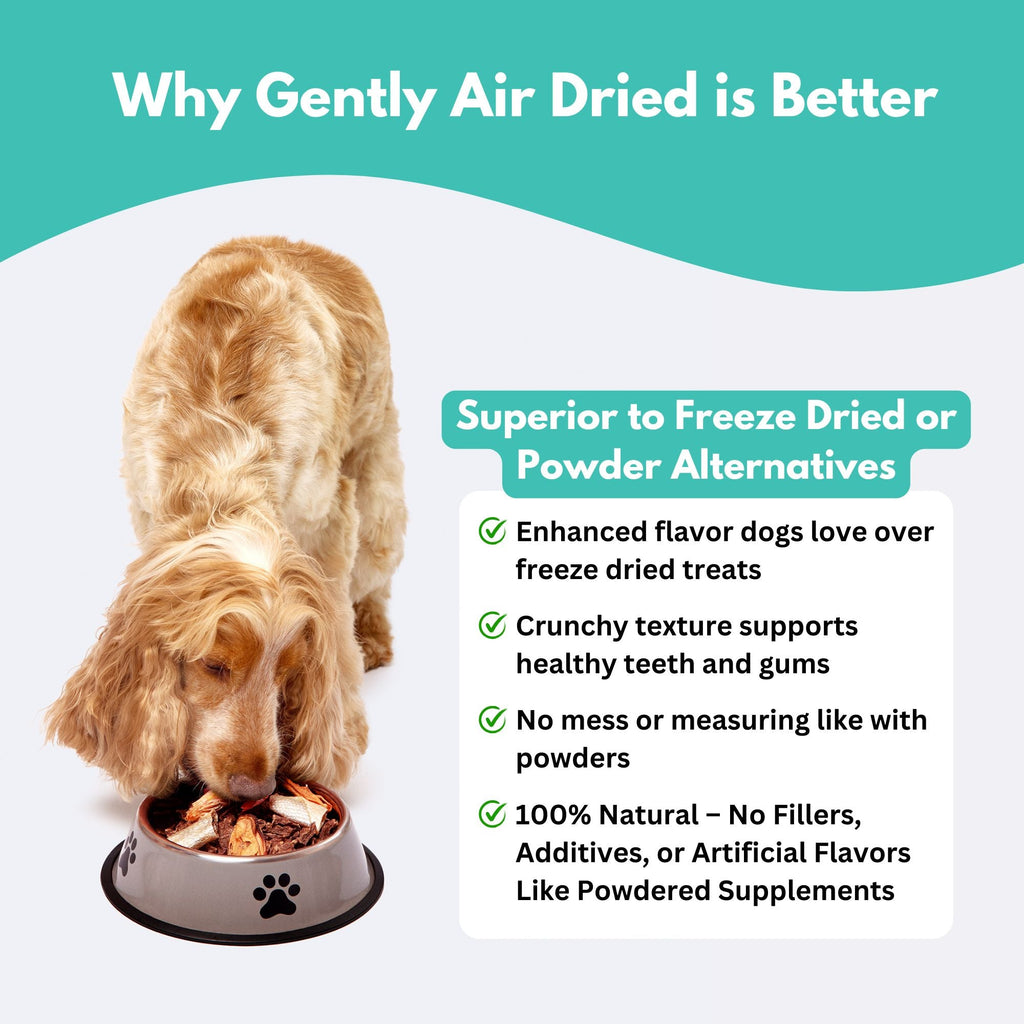 New Zealand Green Lipped Mussel Dog Treats