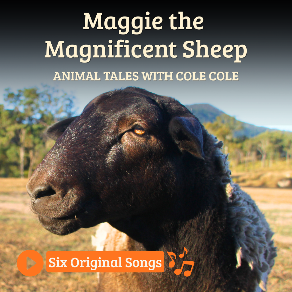Maggie the Magnificent Sheep – Paperback Book, Songs & Educator Guide | Single-Service Licence