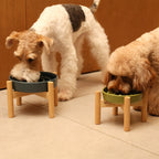 [Spark] Slow Feeder Dog Bowls - Red / Green / Blue