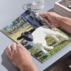 Animal Tales With Cole Cole – Complete Book & Digital Single-Service Collection