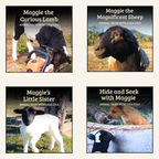 Animal Tales With Cole Cole – Complete Digital Collection | Family Licence