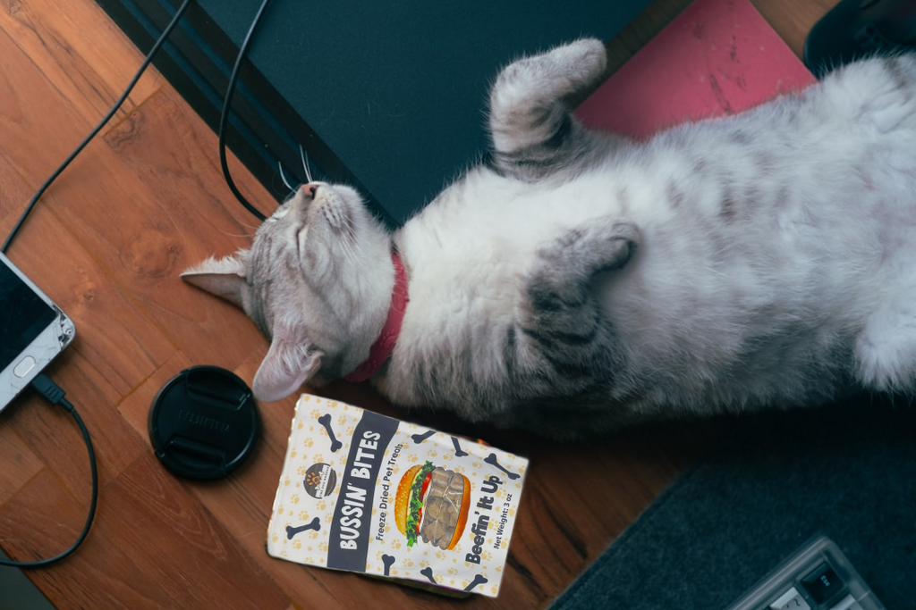 Single Ingredient, Freeze-Dried Training Treats for Dogs & Cats - Beef Liver