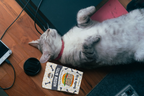Single Ingredient, Freeze-Dried Training Treats for Dogs & Cats - Beef Liver