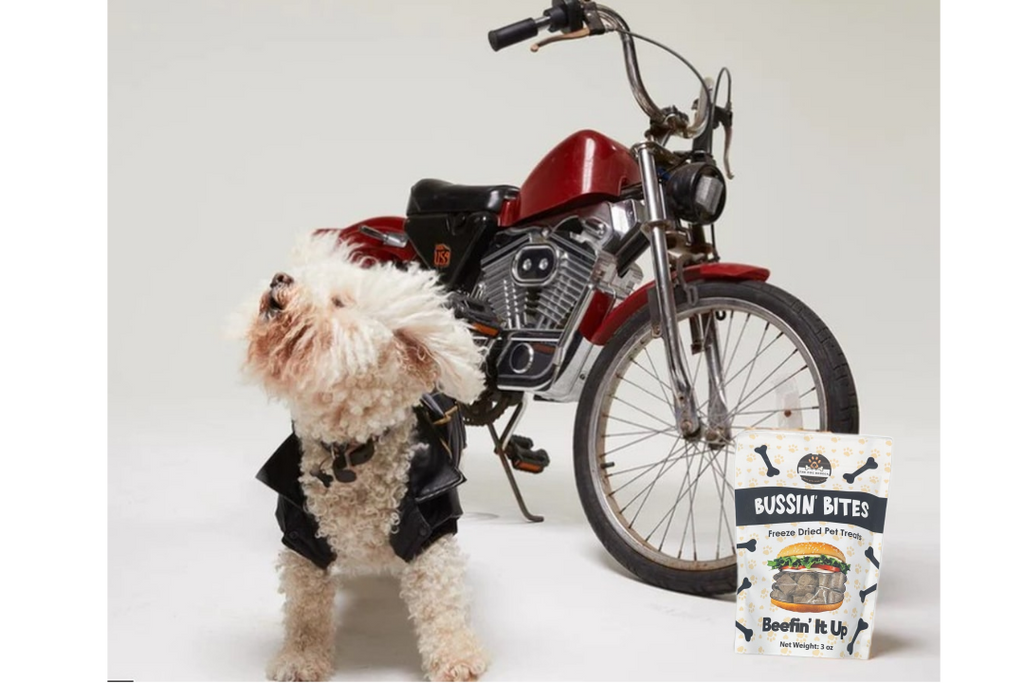 Single Ingredient, Freeze-Dried Training Treats for Dogs & Cats - Beef Liver