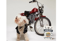 Single Ingredient, Freeze-Dried Training Treats for Dogs & Cats - Beef Liver