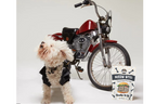 Single Ingredient, Freeze-Dried Training Treats for Dogs & Cats - Beef Liver