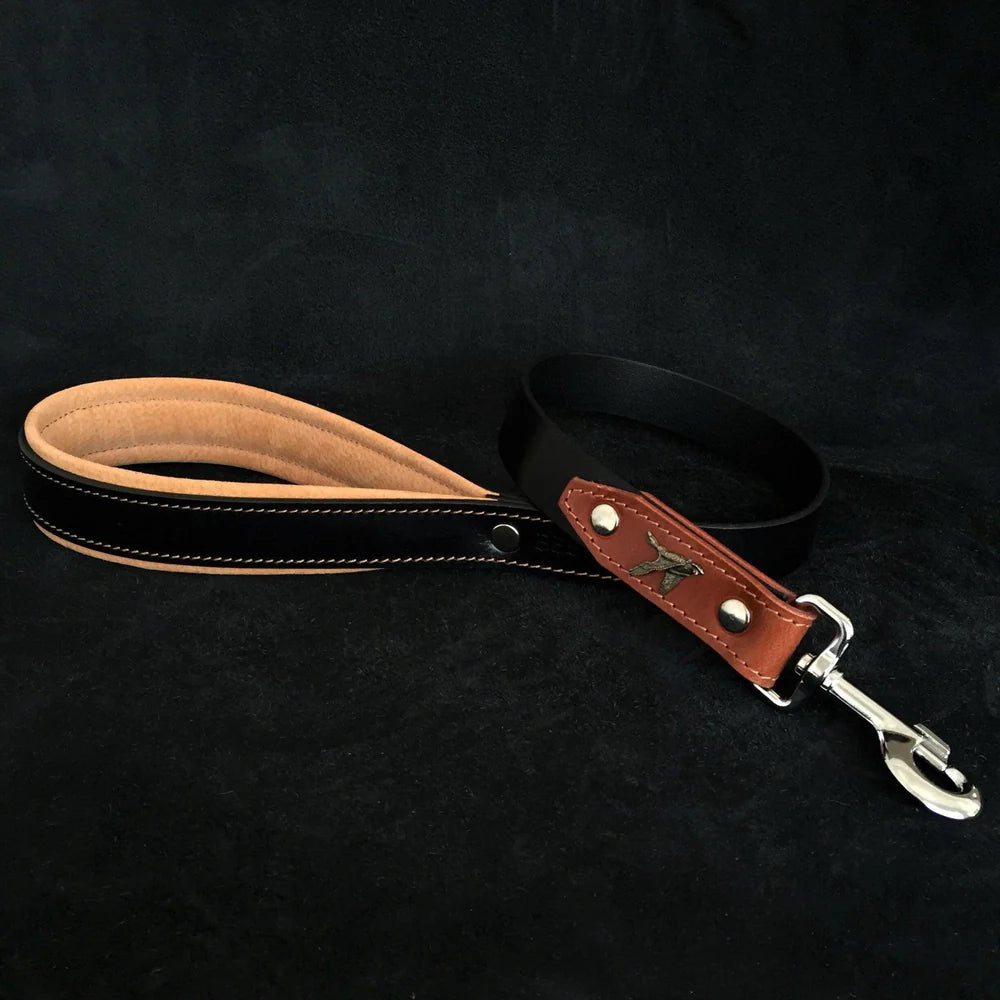 The Hunter Collar/leash