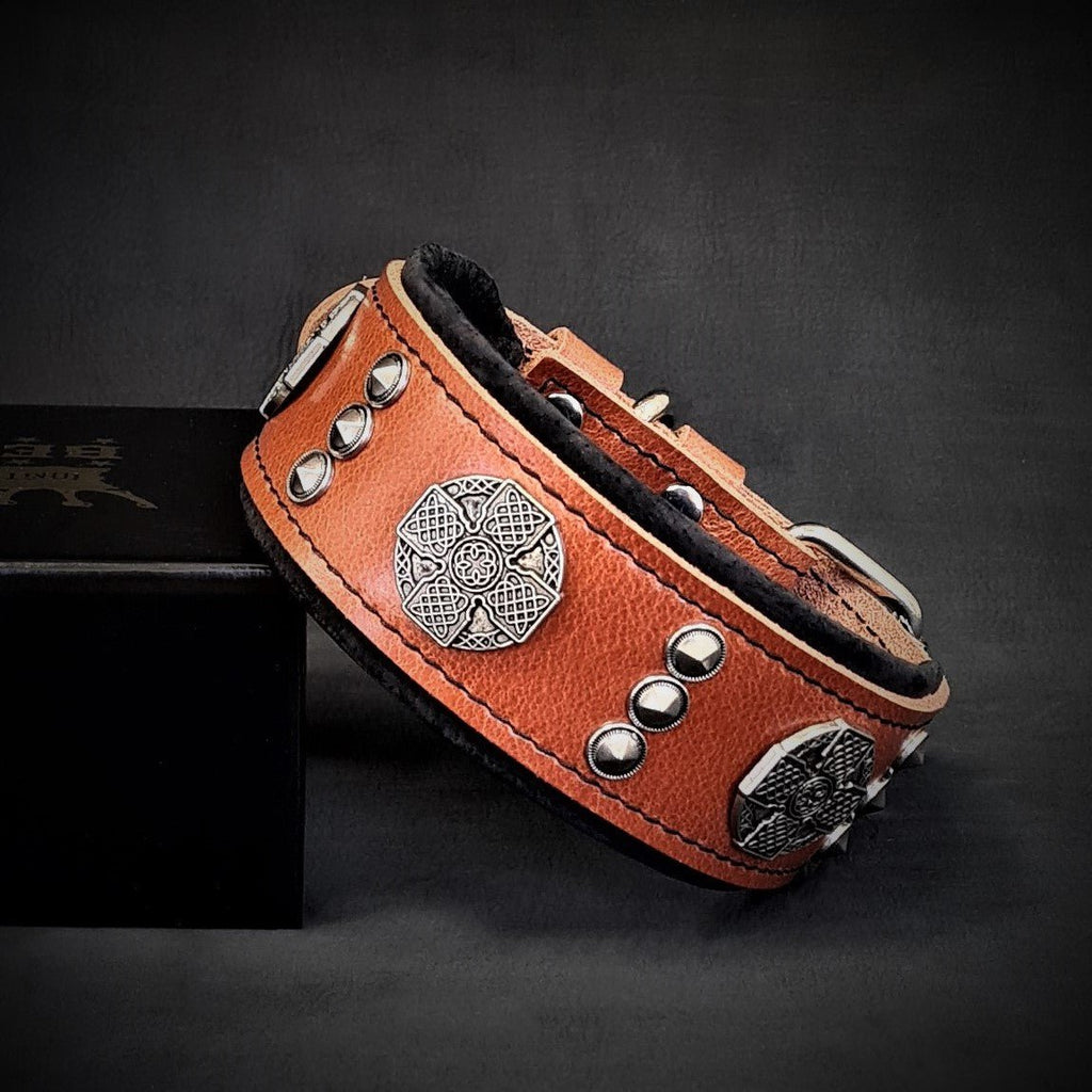 Maximus Collar Brown and Black
