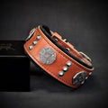 Maximus Collar Brown and Black
