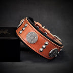 Maximus Collar Brown and Black